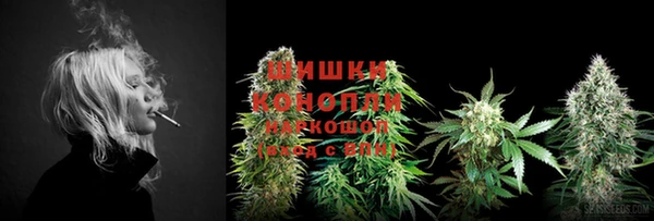 PSILOCYBIN Арсеньев