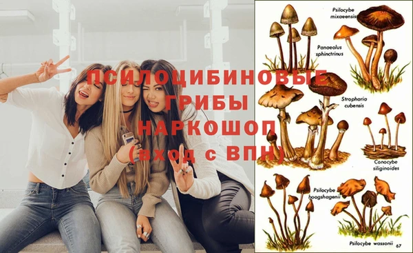гашик Протвино