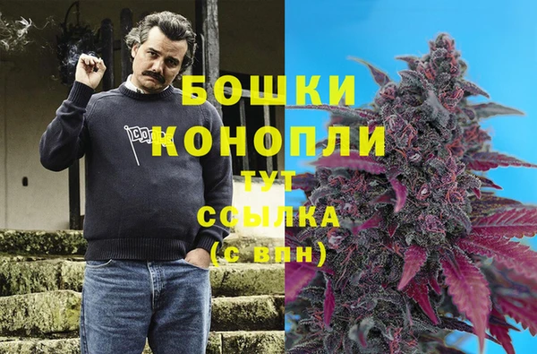гашик Протвино