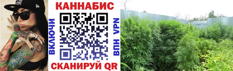 Марихуана Bruce Banner  Карабаново 
